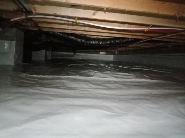 CleanSpace