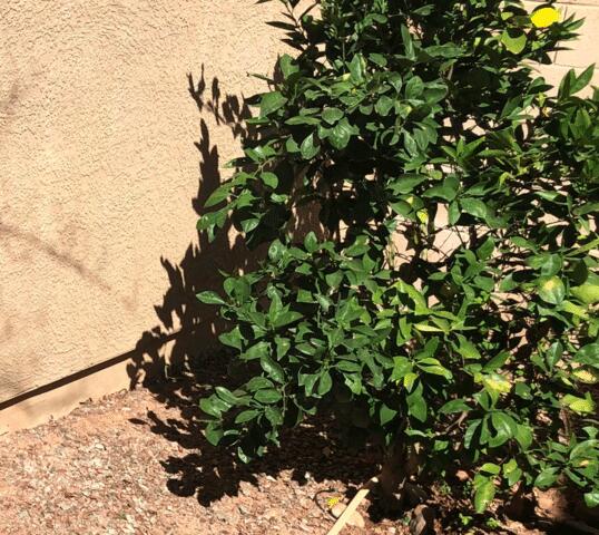 What Causes Corrosion?