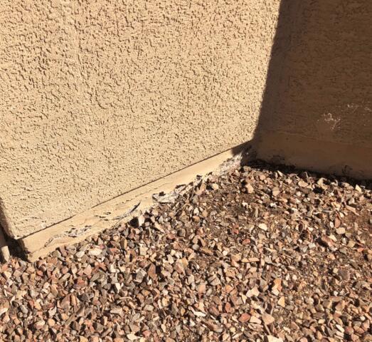 Signs of Stem Wall Failure: Flaking Paint