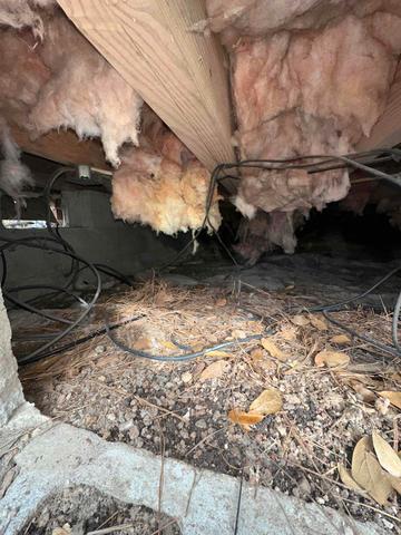 Wet & Moldy Crawlspace