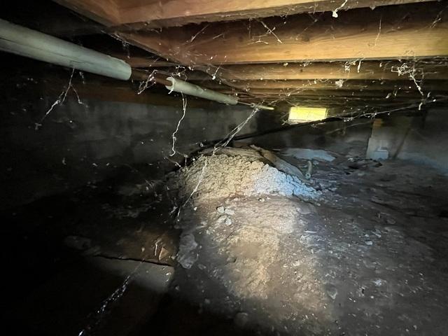 Neglected for years, this crawl space provided no protection