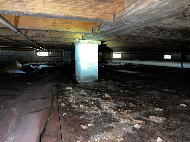 Mold Under Vapor Barrier
