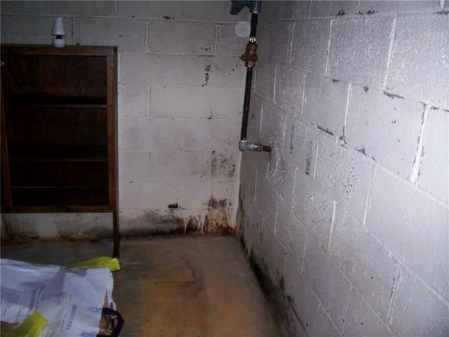 Is it Mold in the Cinder Block Basement?