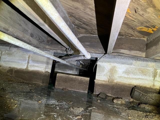Pooled Water in Crawlspace