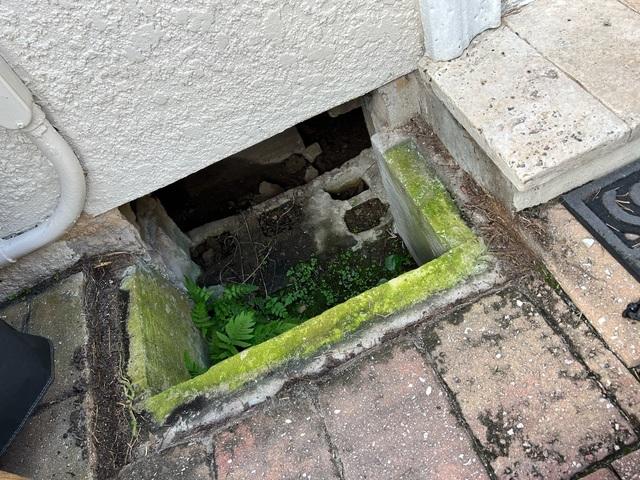 Moldy Crawlspace Access Point