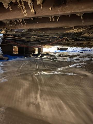 Crawl Space After