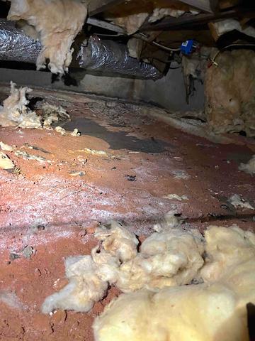 Crawl Space Moisture Damage