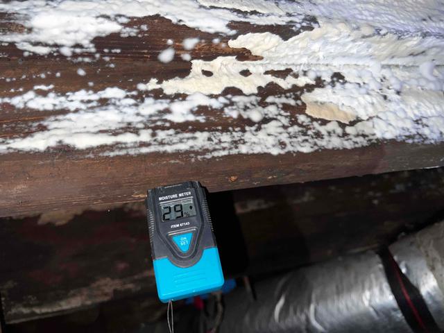 Wood Moisture and Mold