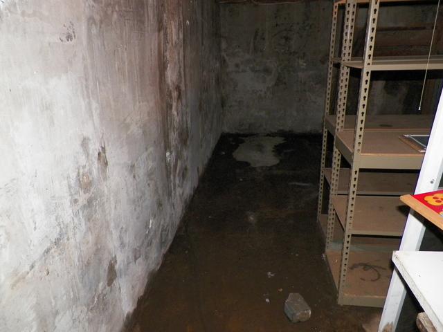 Water on Basement floor