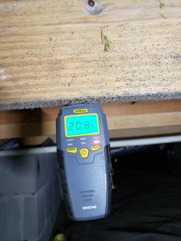 High Wood Moisture & Mold