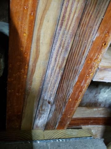 Water Dripping From Joists