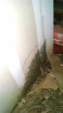Water seeping in through foundation wall