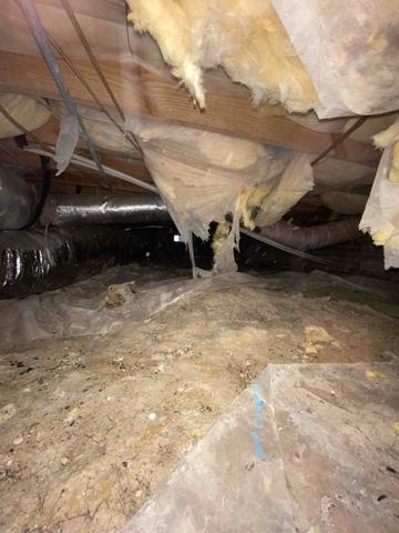 Moisture Rising Up, Insulation Falling