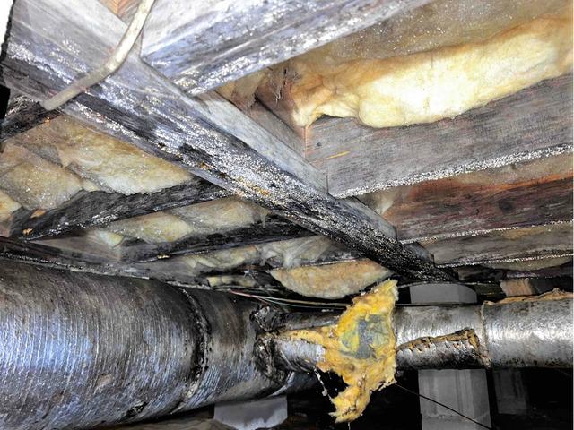 Condensation Dripping from Wood