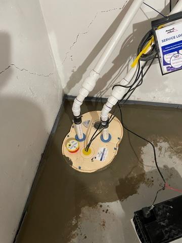 TripleSafe Sump Pump System Saves the Day