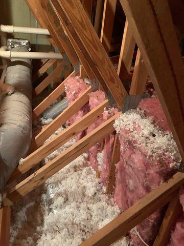Attic Before
