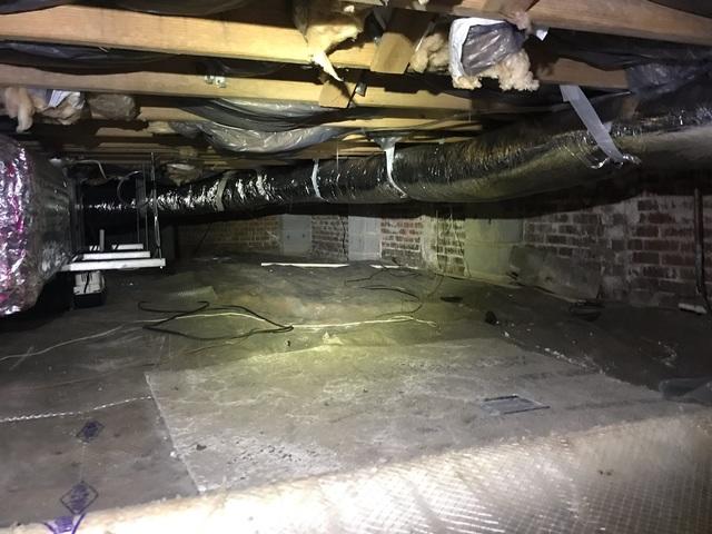 Crawl Space Nightmare!