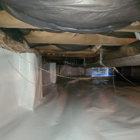 CleanSpace Crawl Space