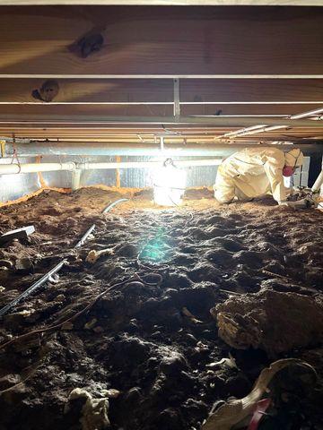 Crawl Space Insulation