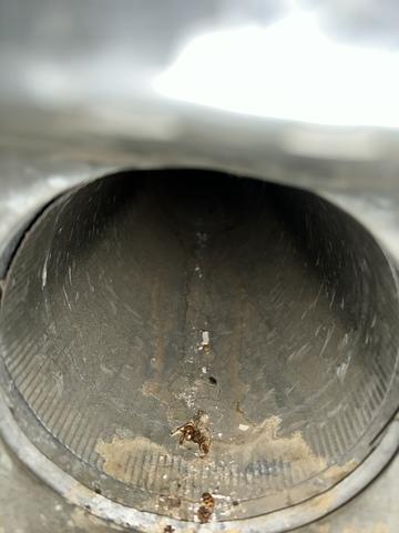 Duct Cleaning - Fontanelle, NE