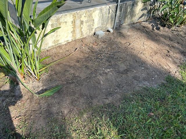 Pool Deck Stabilized