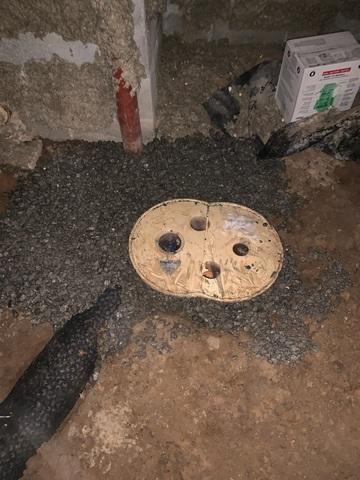 Triple Safe Sump Pump with EZ Flow