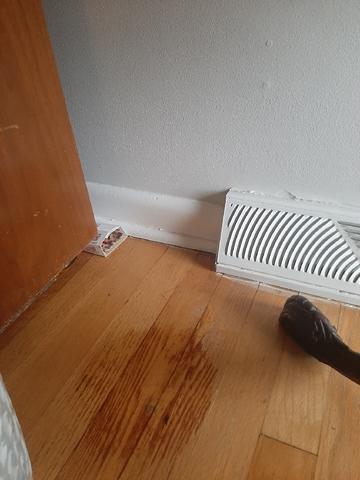 Wet Floor