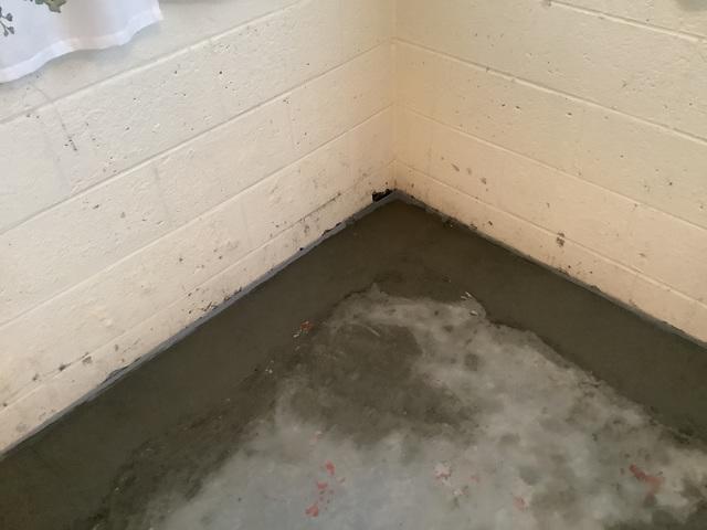 Finished Water Guard Drainage System