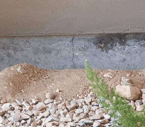 Signs of Oxidation in a Stem Wall: Vertical Cracks