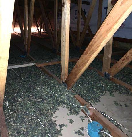 Attic Insulation Before