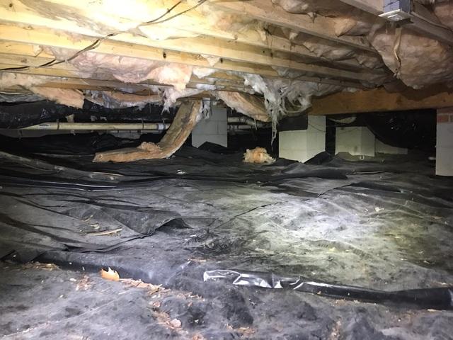 Crawl Space in Truoble!
