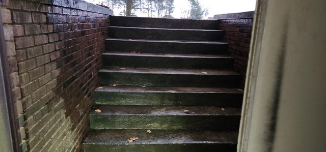 Wet Basement