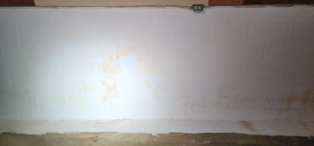 Mold