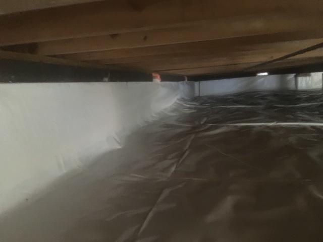 CleanSpace Liner