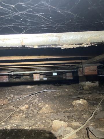 A wet crawl space can lead to mold and rot.