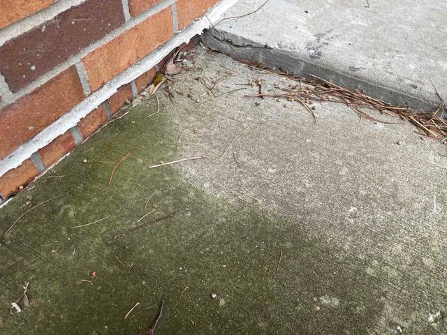 Concrete Leveling