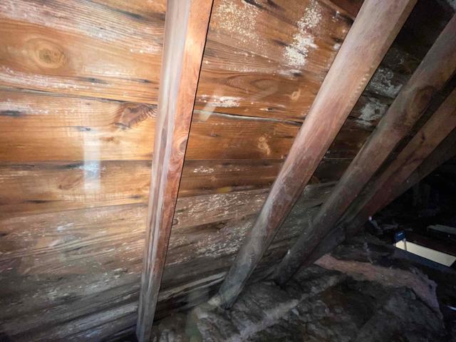Mold on slat roofing & trusses
