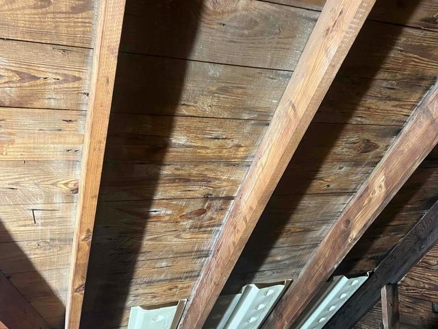Mold cleaned