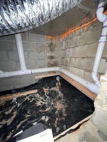 Damp Crawl Space