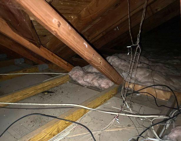 Attic Before Old Insulation