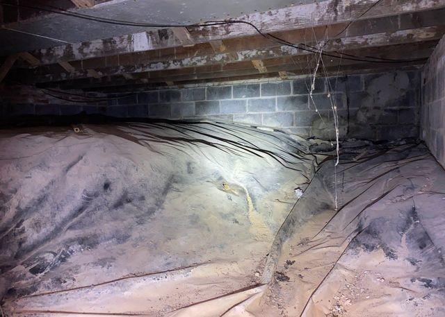 Nasty Crawl Space