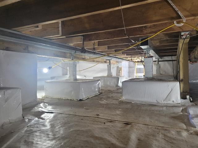 CleanSpace Applied Everywhere