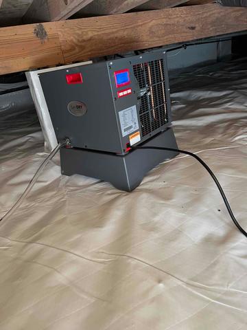 Crawl Space Dehumidifier
