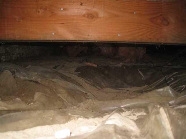 Damp Crawl Space