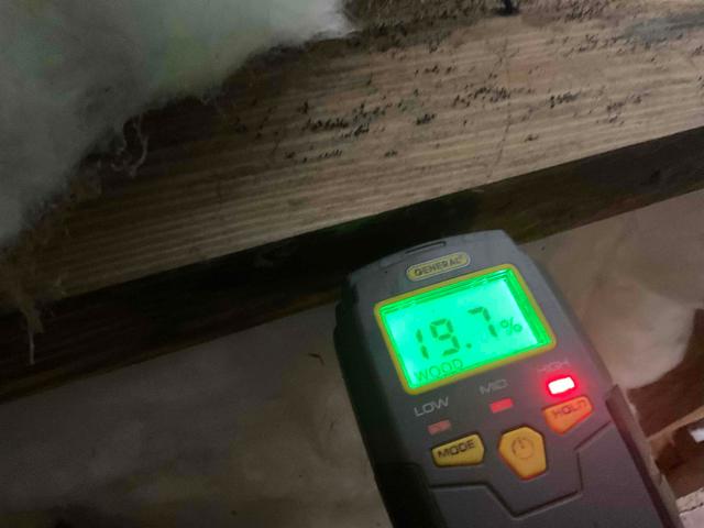 Wood Moisture Measurement