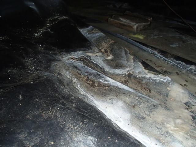 Damp Crawl Space