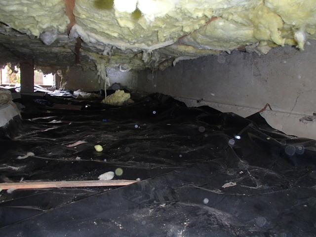 Unhealthy Crawl Space