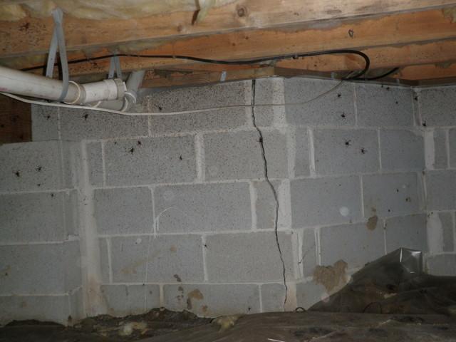 Bugs in the this Ocean Pines, MD home were caused by a crawlspace that was improperly encapsulated. Dr. Energy Saver and the CleanSpace® system can help prevent bugs entering your home through your dirt crawlspace. Call for a free estimate today!