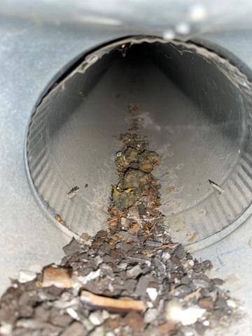 Duct Cleaning - Wakefield, NE