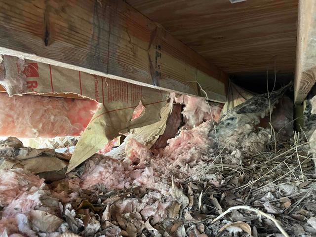 Crawlspace Damage